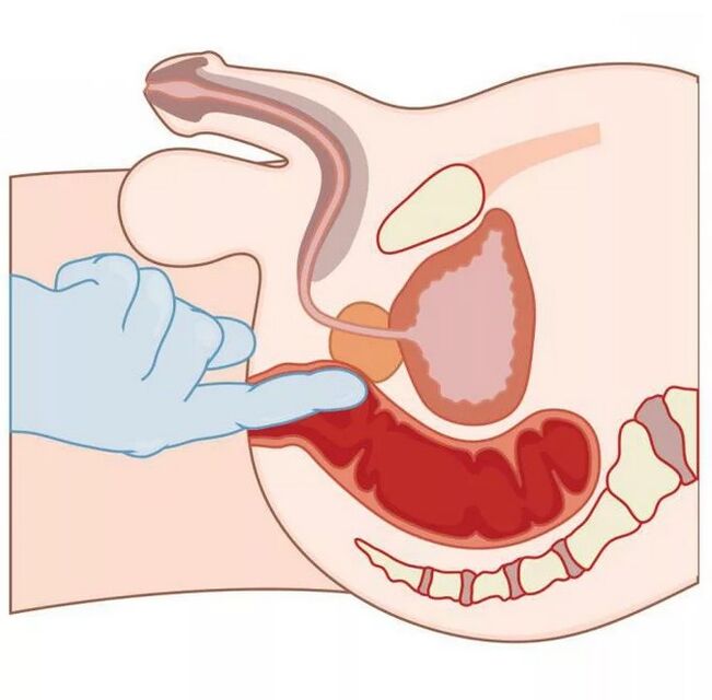 Erkek G noktası konumu