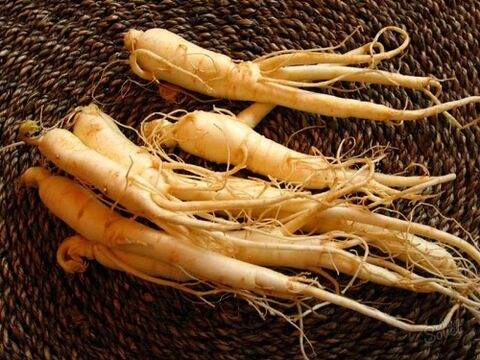 60'tan sonra gücü artırmak için ginseng kökü